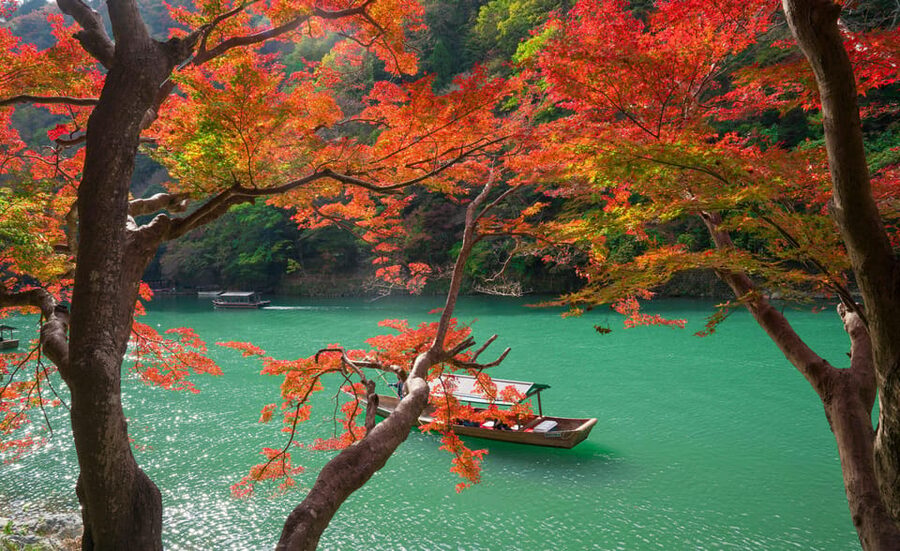 Osaka/Kyoto: Katsuoji, Kinkakuji, Arashiyama 1-Day Bus Tour - Who will get the most from this $56 tour
