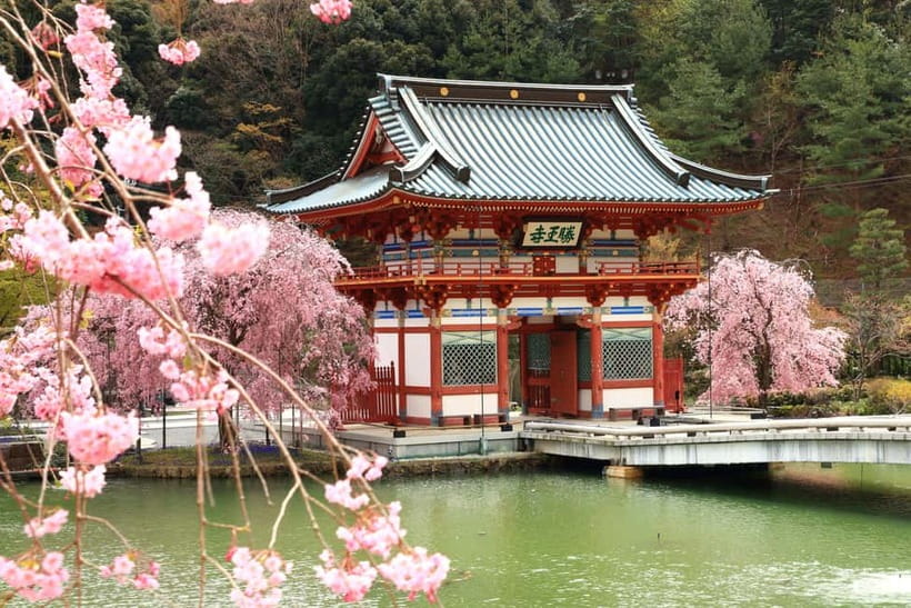 Osaka/Kyoto: Katsuoji, Kinkakuji, Arashiyama 1-Day Bus Tour - Arashiyama gives you the day’s best walking time