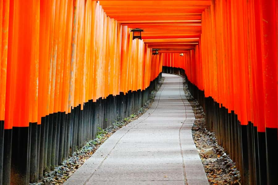 Osaka/Kyoto:Kinkakuji,Arashiyama,FushimiInariShrine,NaraPark - Four famous sights, one very busy day