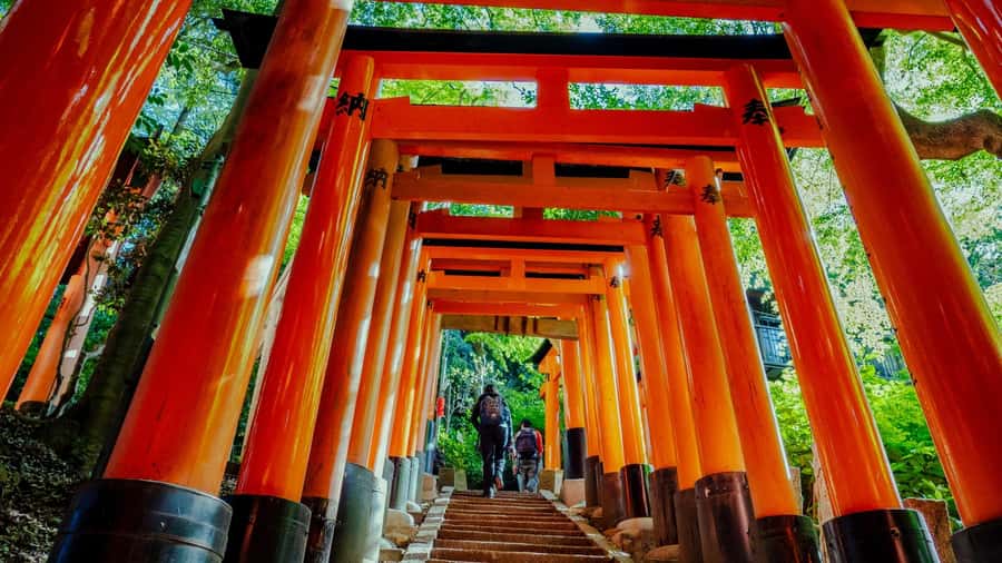 Osaka/Kyoto:Kinkakuji,Arashiyama,FushimiInariShrine,NaraPark - Arashiyama and the Bamboo Grove