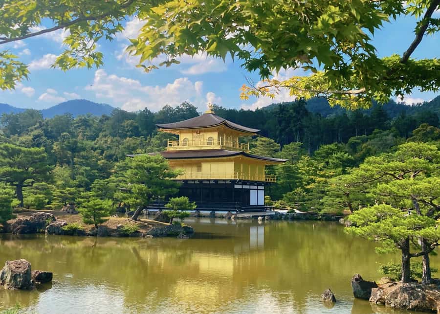 Osaka/Kyoto:Kinkakuji,Arashiyama,FushimiInariShrine,NaraPark - What the $66 price really buys