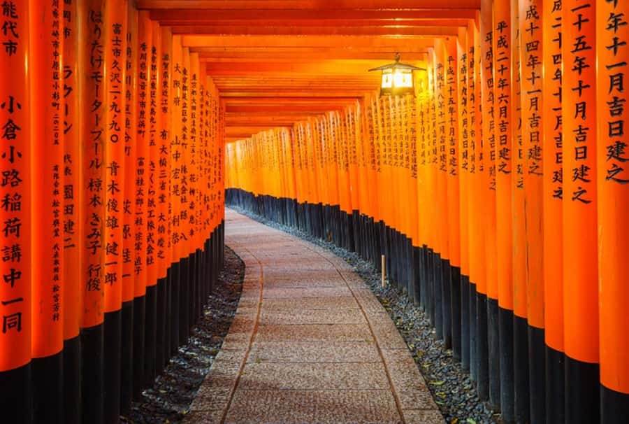 Vermilion torii gates climbing the mountain at Fushimi Inari, Kyoto