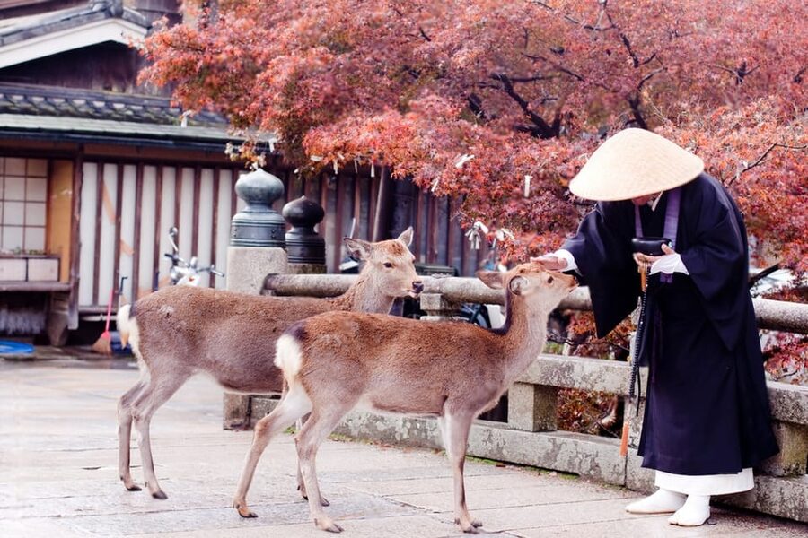 Osaka/Kyoto: Private Kyoto and Nara Day Trip - The van, driver, and comfort factor