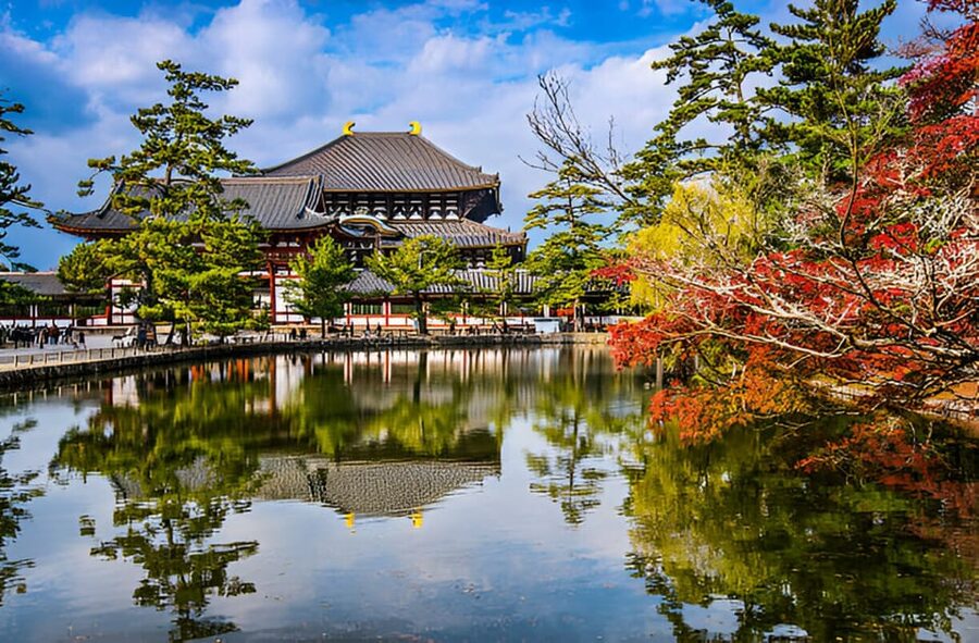 Osaka/Kyoto: Private Kyoto and Nara Day Trip - Kasuga-taisha and Nara’s quieter religious side