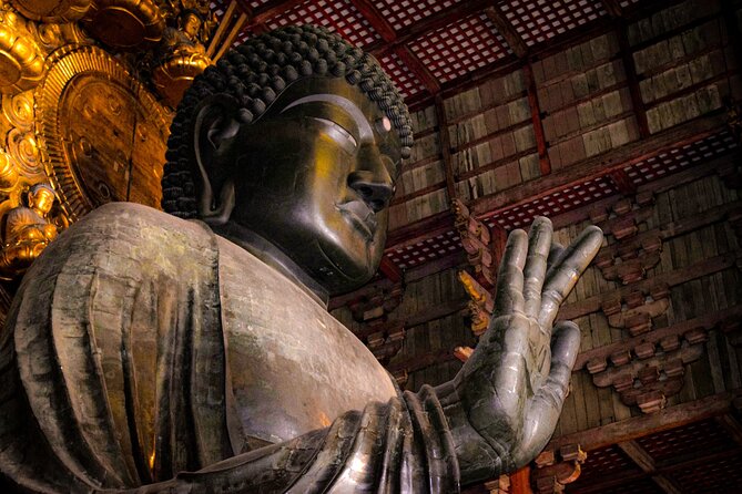 Osaka & Nara in 1-Day by Private Van with Local Expert Guide - Key points to know before booking