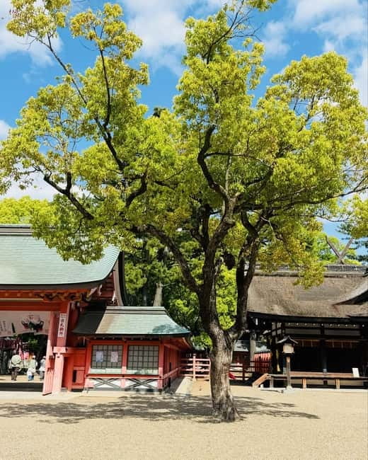 Osaka & Nara: Private Tour with English speaking guide - Kaiyukan Aquarium: a change of pace