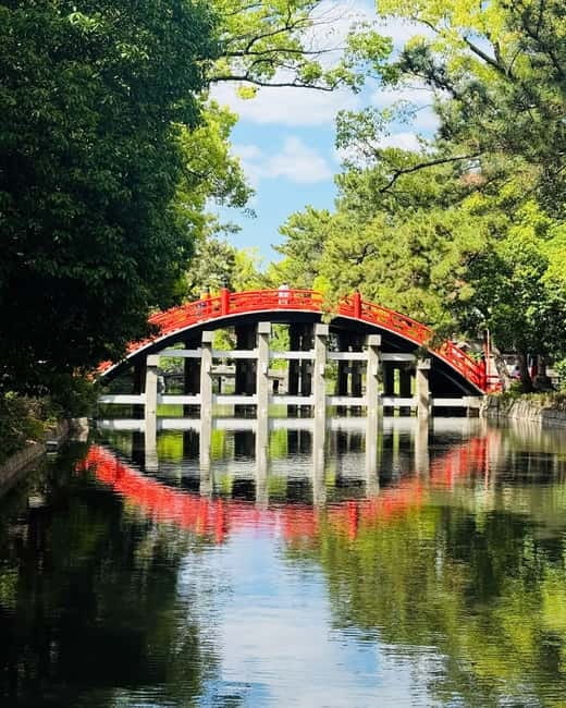 Osaka & Nara: Private Tour with English speaking guide - Dotonbori after dark