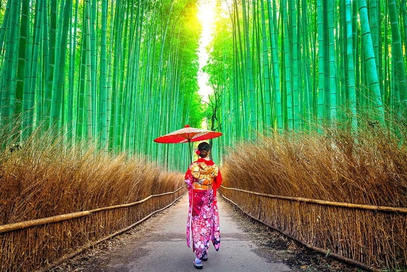 Osaka to Kyoto: Arashiyama Bamboo Grove Small Group Tour - Why this route works better than a standard bamboo-only outing