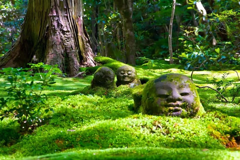 Osaka to Kyoto: Arashiyama Bamboo Grove Small Group Tour - Togetsukyo Bridge and Arashiyama’s famous river view