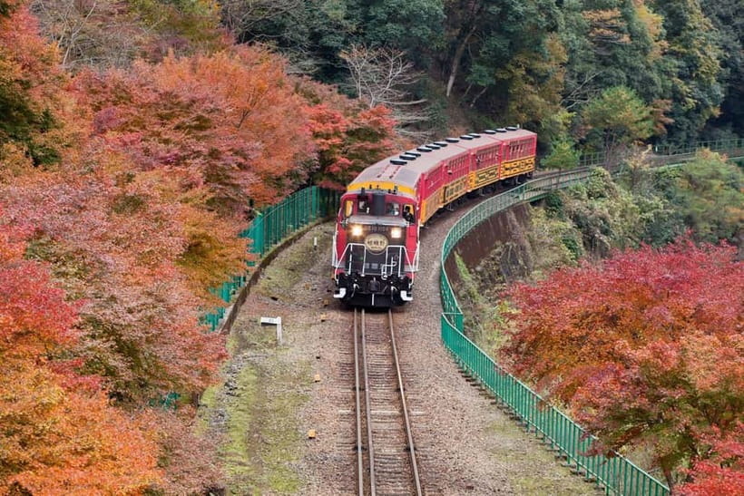 Osaka to Kyoto: Arashiyama Bamboo Grove Small Group Tour - What the $69 price really covers