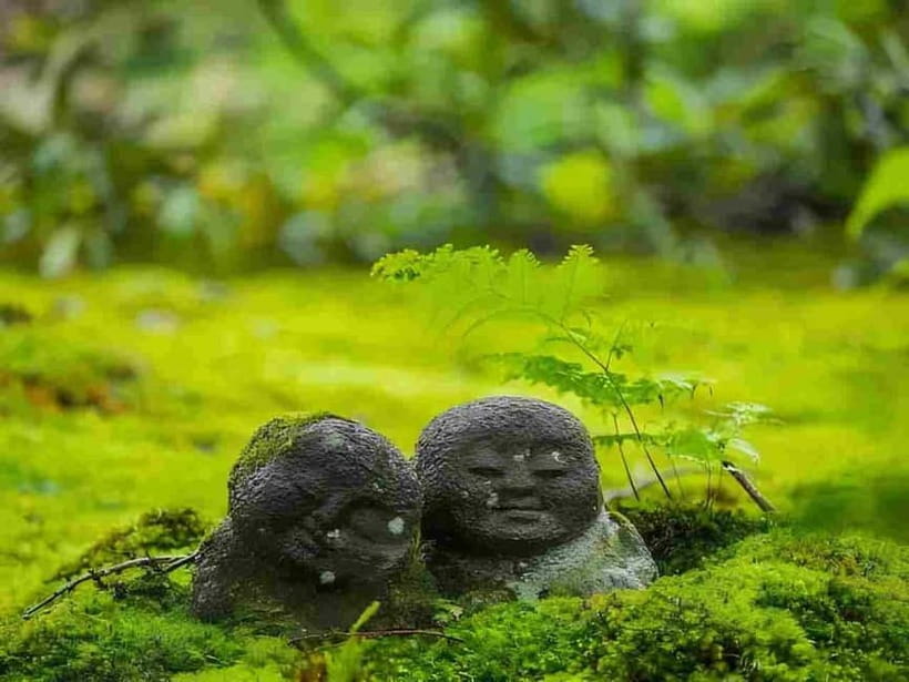Osaka to Kyoto: Arashiyama Bamboo Grove Small Group Tour - Starting from Osaka or Kyoto