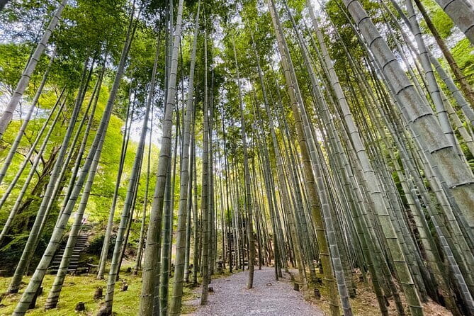 Pedal Adventure Kyoto E-Bike tour : True Kyoto Avoid the crowds - Starting at Raku-chari Sanjo
