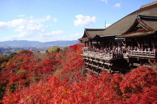 PERFECT KYOTO 1-Day Bus Tour - Why this one-day Kyoto route works