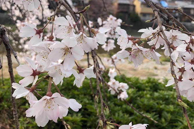 Private car tour in Kyoto (up to 4) - Kiyomizu-dera: Kyoto’s grand opening scene
