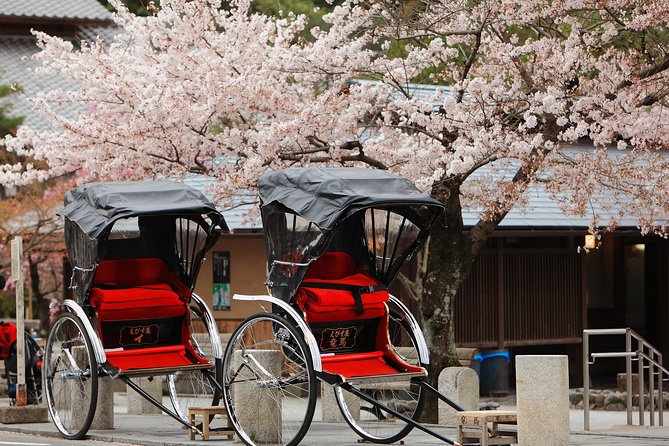 Private Custom Tour: Kyoto in One Day - Key points before you book