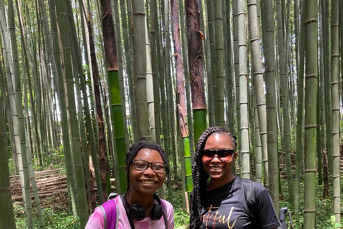 Private Custom Tour: Kyoto in One Day - Nijo Castle and the world of the shoguns