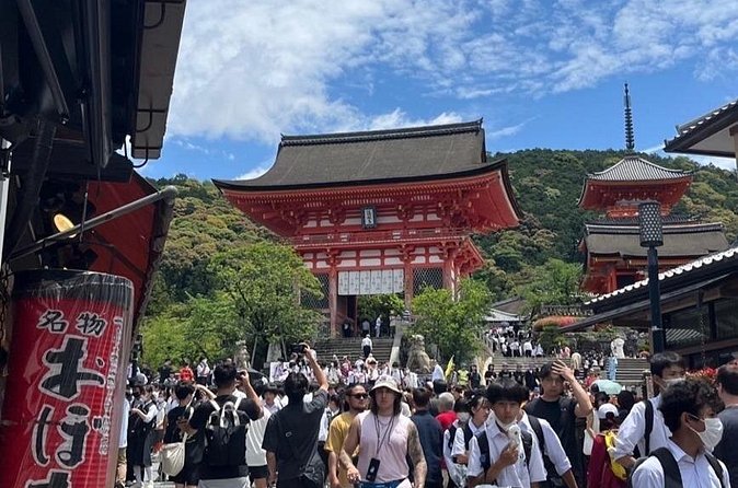 Private Custom Tour of Kiyomizu & Yasaka—by Young Local Guides - What the private format is really worth