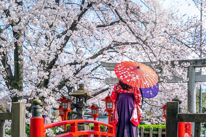 Private Customized 3 Full Days Tour Package: Discover Kyoto, Arashiyama and Nara - How the private guiding changes the experience