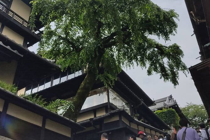 Private Customized Walking Tour in Kyoto - Nishiki Market, from local food street to popular stop