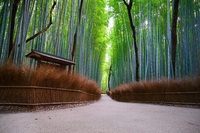 Private Day Tour - Kyoto Arashiyama & Bamboo Forest Perfect Tour! - Why Arashiyama works well as a private day tour