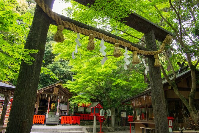 Private Day Tour - Kyoto Arashiyama & Bamboo Forest Perfect Tour! - Monkey Park Iwatayama and the Kyoto view