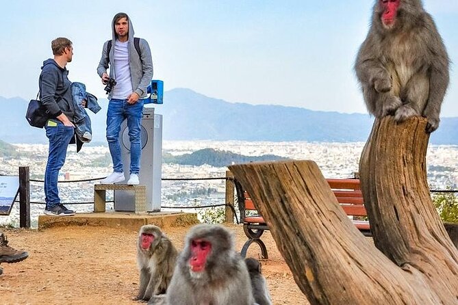 Private Day Tour - Kyoto Arashiyama & Bamboo Forest Perfect Tour! - What the $119.22 price really covers