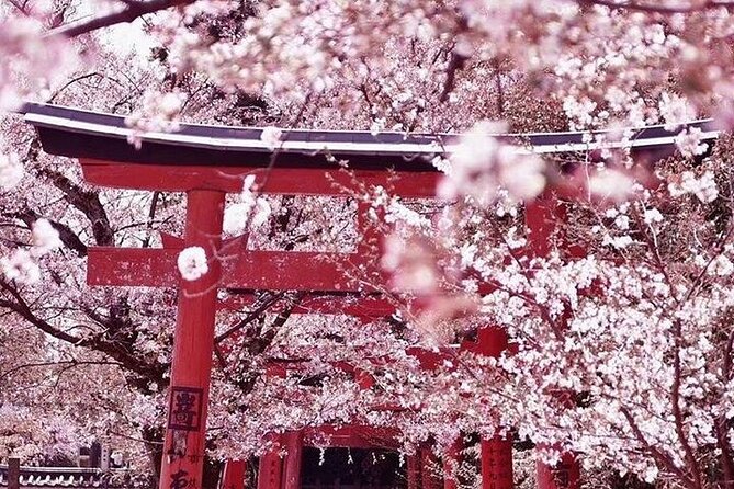 Private departure transfer from Kyoto city to Kansai International airport - Price, value, and what you are really buying