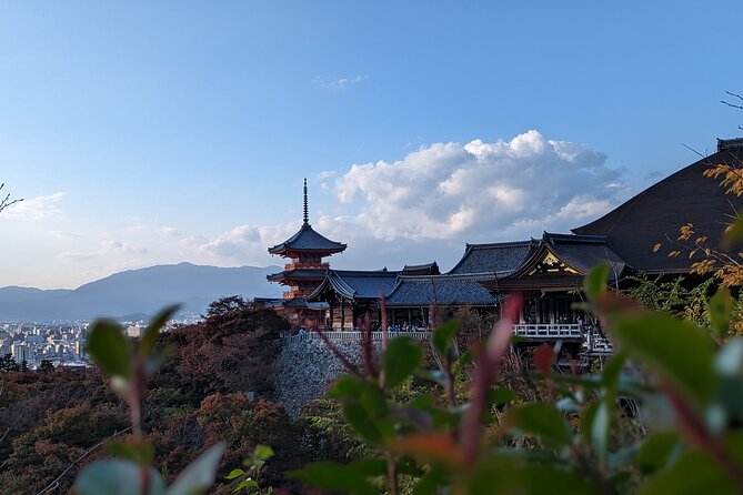 Private Guided Historical Sightseeing Tour in Kyoto - Fushimi Inari Taisha and its famous orange gates