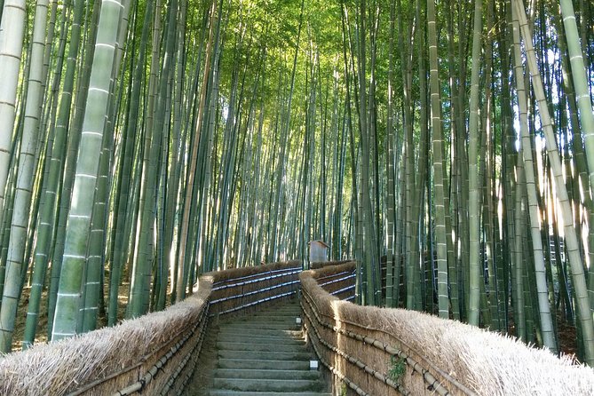 Private Highlights of Kyoto Tour - Two routes, one busy Kyoto day