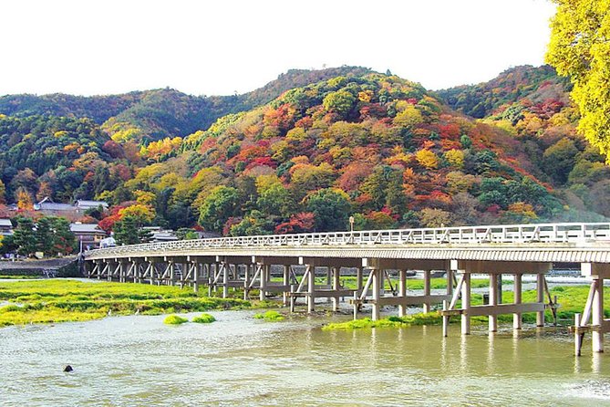Private Kyoto Arashiyama Custom Half-Day Tour by Chartered Vehicle - Togetsukyo Bridge and the river view