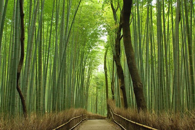 Private Kyoto Arashiyama Custom Half-Day Tour by Chartered Vehicle - The Sagano Bamboo Groves in 30 minutes