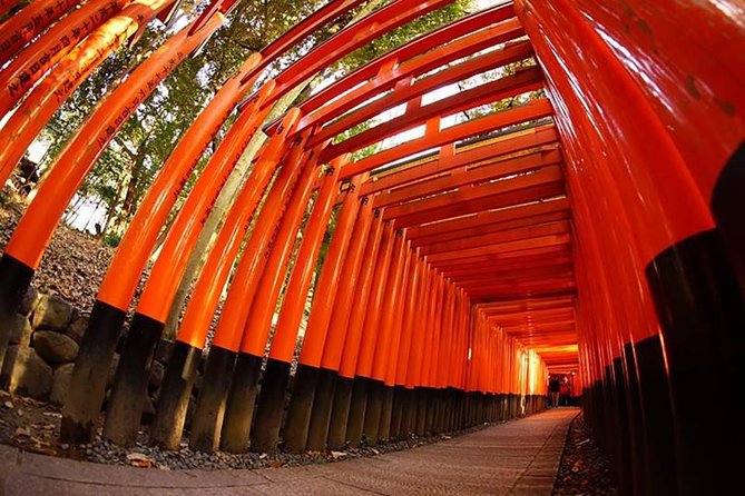 Private Kyoto Custom One Day Tour by Chartered Vehicle - Why a private vehicle helps in Kyoto