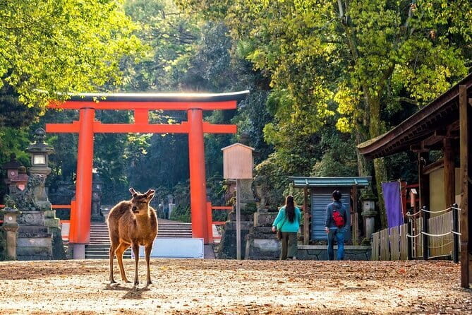 Private Kyoto Customizable Day Tour with English Speaking Driver - Kiyomizu-dera and the hillside approach