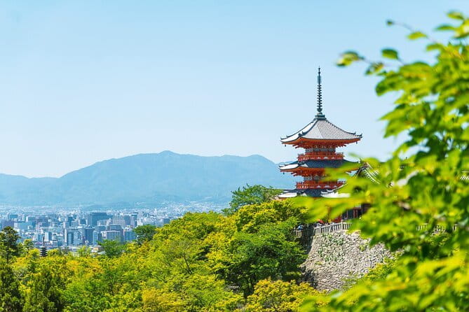Private Kyoto Customizable Day Tour with English Speaking Driver - Fushimi Inari’s red torii gates