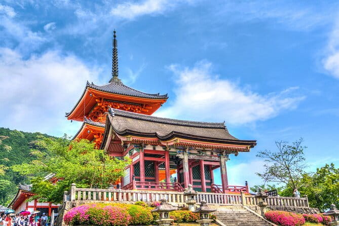 Private Kyoto Customizable Day Tour with English Speaking Driver - What the driver actually does