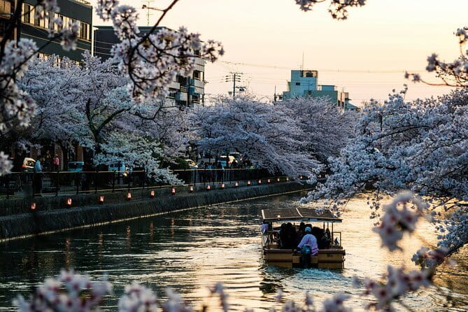 Private Kyoto Customizable Day Tour with English Speaking Driver - Arashiyama bamboo grove and western Kyoto