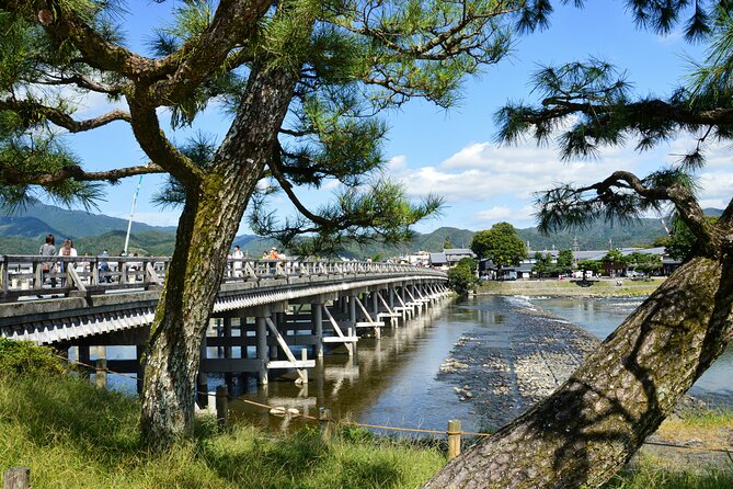 Private Kyoto Customizable Day Tour with Guide and Vehicle - Gion, where old Kyoto meets modern streets