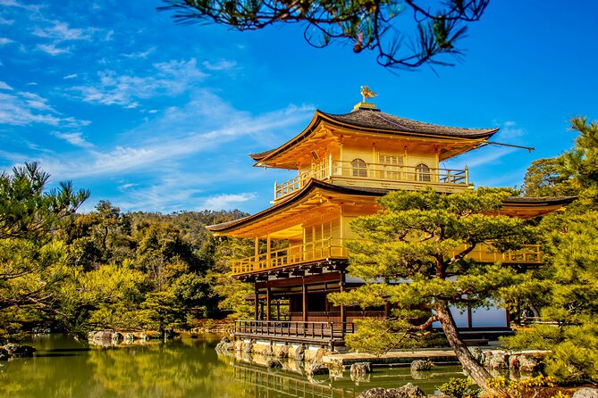 Private Kyoto Customizable Day Tour with Guide and Vehicle - The guide can make or break the day