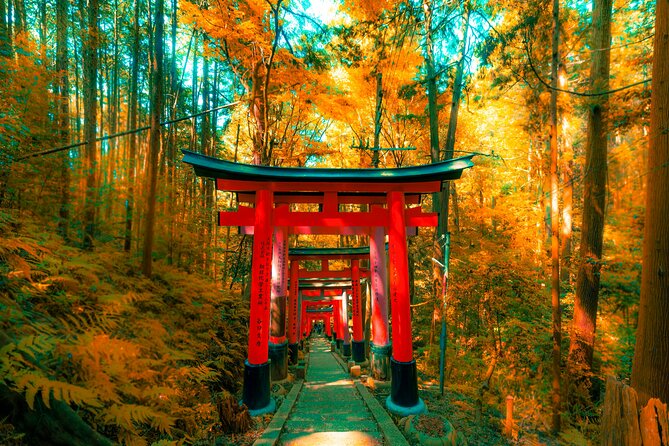 Private Kyoto Customizable Day Tour with Guide and Vehicle - Arashiyama’s bamboo and riverside setting