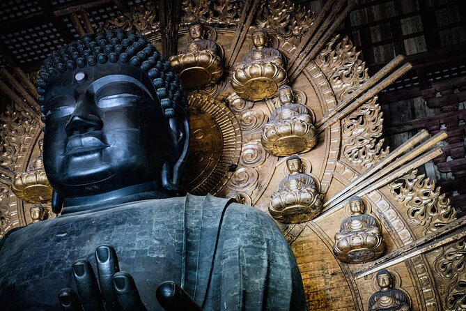 Private Kyoto Tour by Car with Optional Nara or Osaka Add-Ons - Nara combines deer, a giant Buddha, and forest paths