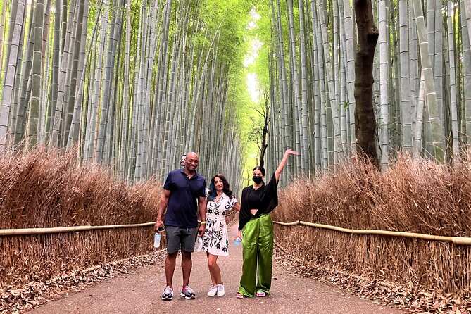 Private Kyoto Tour with Licensed Guide & Vehicle (Max 15 persons) - Nishiki Market, Pontocho, and lunch