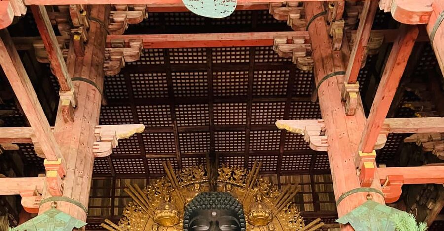 Private Nara Tour from Osaka – Meet at Your Hotel - Todai-ji and the 15-meter Great Buddha