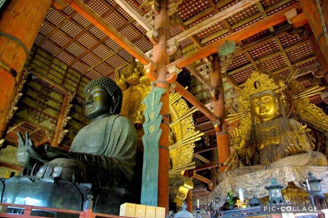 Private Tour Kyoto-Nara w/Hotel Pick Up & Drop off from Kyoto - Kinkaku-ji, Kyoto’s Golden Pavilion