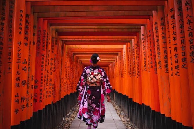 Private Tour Kyoto-Nara w/Hotel Pick Up & Drop off from Kyoto - Feeding the deer at Nara Park