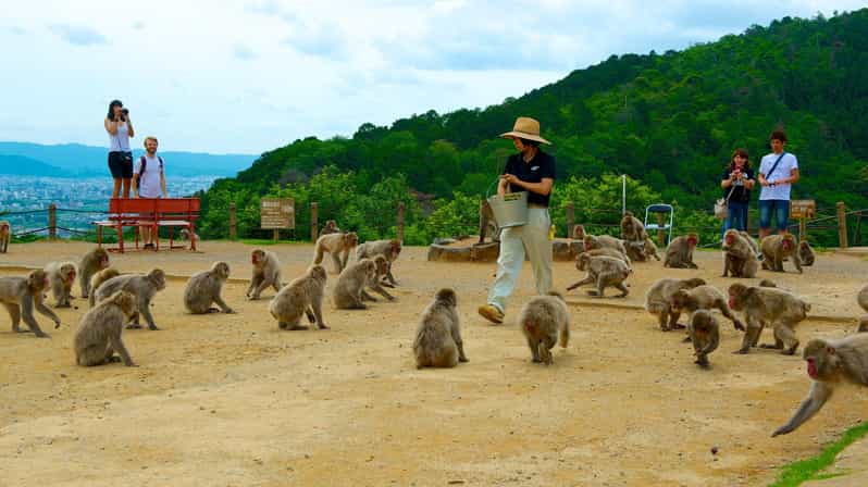 Private Tour to Monkey Park and Arashiyama Highlights - Key points to know before you book