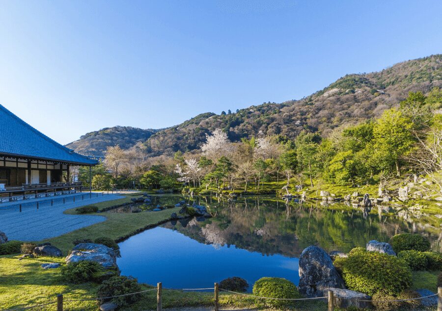 Private Tour to Monkey Park and Arashiyama Highlights - Tenryu-ji Temple and its Zen garden