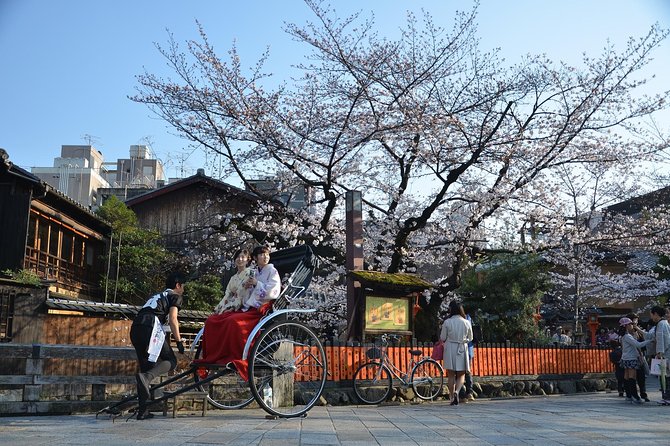 Private & Unique Kyoto Cherry Blossom "Sakura" Experience - Why a private Kyoto sakura walk can be worth it