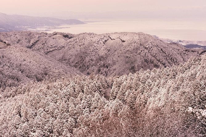 Private & Unique Kyoto Cherry Blossom "Sakura" Experience - What the $290.79 price includes