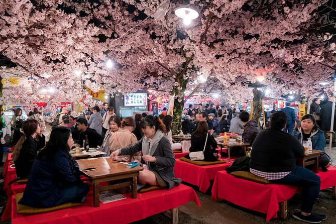 Private & Unique Kyoto Cherry Blossom "Sakura" Experience - Who will enjoy this experience most
