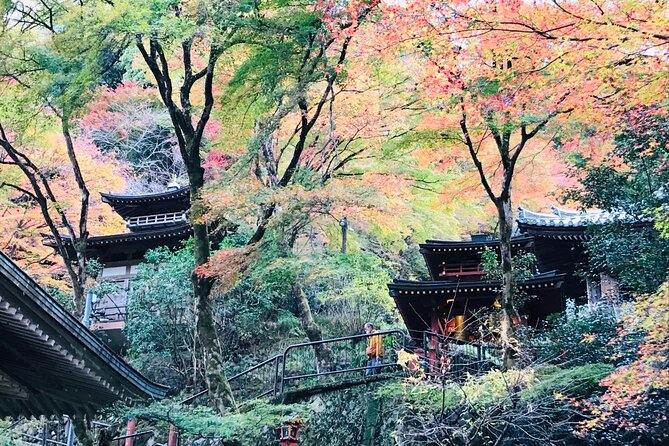 Private Walking Tour in Bamboo Forest & Hidden Spots in Arashiyama - Why Sagano makes a better morning than a bamboo-only visit